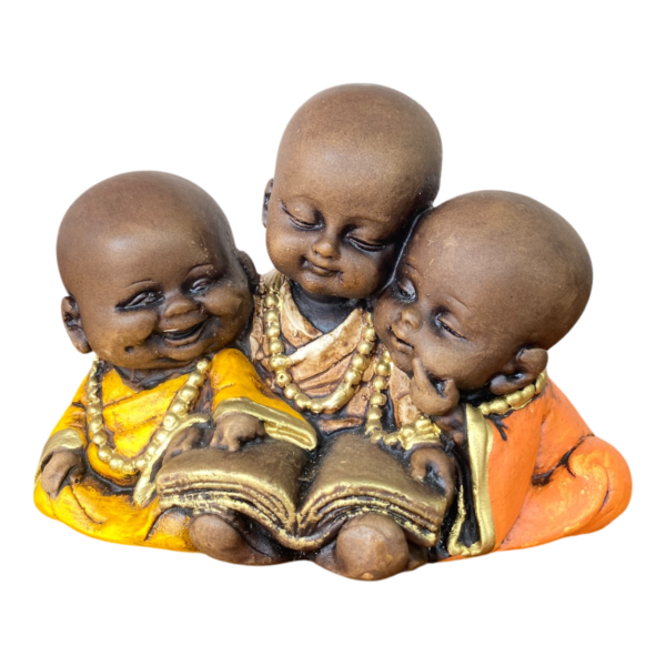 Trio Budas Livro