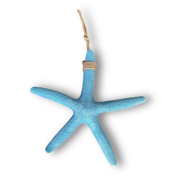 Estrela Decorativa De Parede Azul Claro em Resina 23 Cm