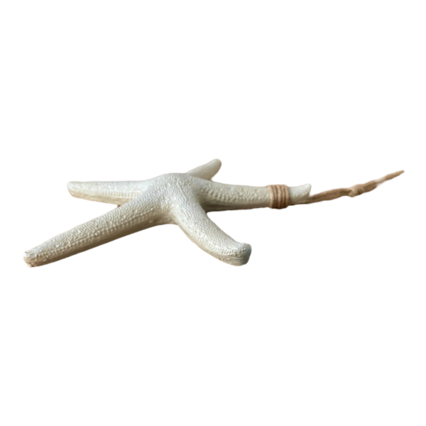 Estrela Decorativa De Parede Bege em Resina 23 Cm - Image 3