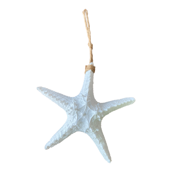 Estrela De Parede Branca em Resina 21 Cm