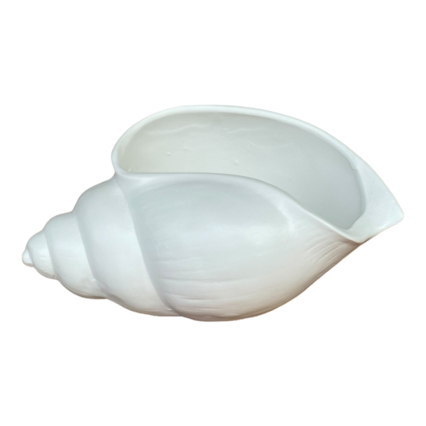 Vaso Decorativo Concha Branca em Ceramica