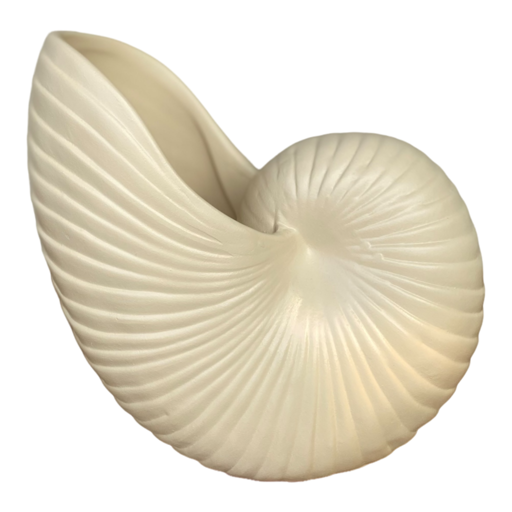 15300458566-photoroom-000-20240830-114927.png