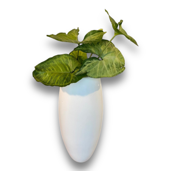 Vaso Decorativo Classic Medio em Ceramica Branco - Image 3