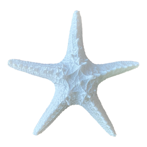 Estrela Mesa Ceramica Branca 30cm