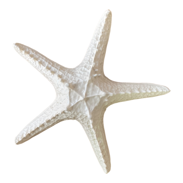 Estrela Mesa Ceramica Bege 30cm