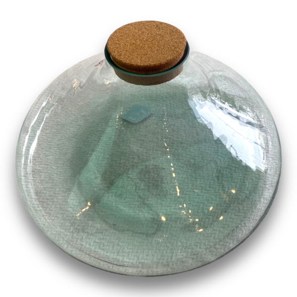 Garrafão Cels MD - Image 3